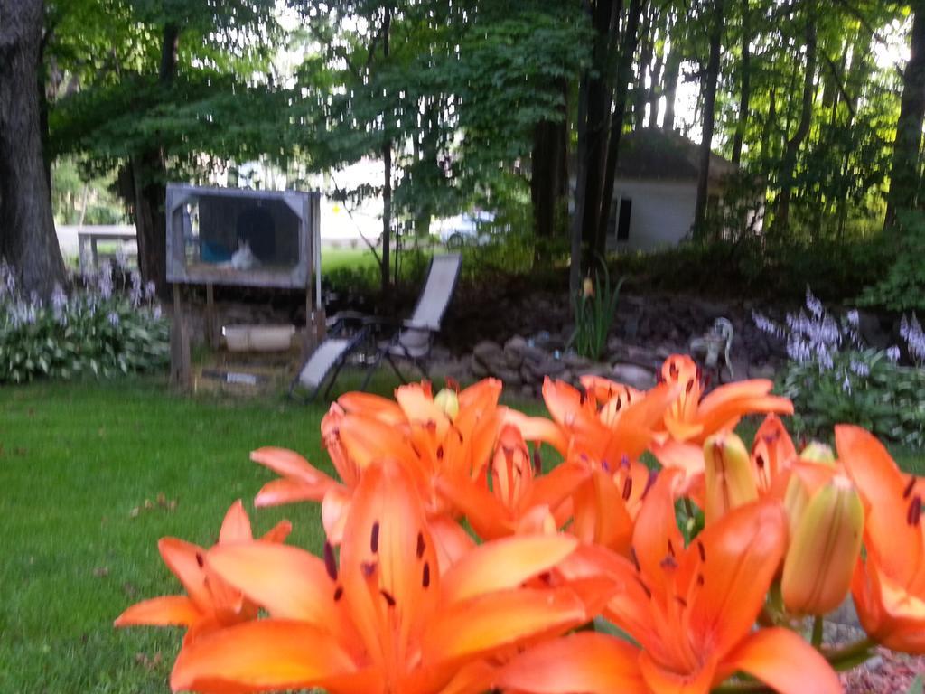 Kountry Living Bed And Breakfast Oneonta Dış mekan fotoğraf
